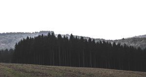 Немецкий коллекционер удивлён красотой казахстанского тенге